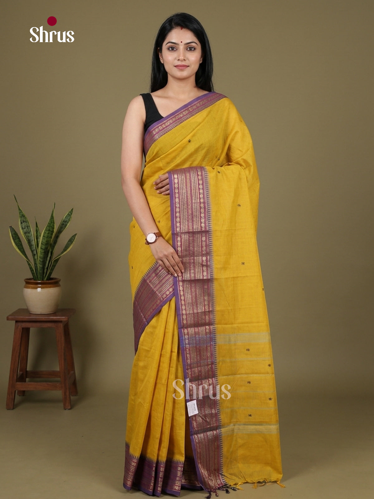 Chettinad Cotton Saree - EFS19015