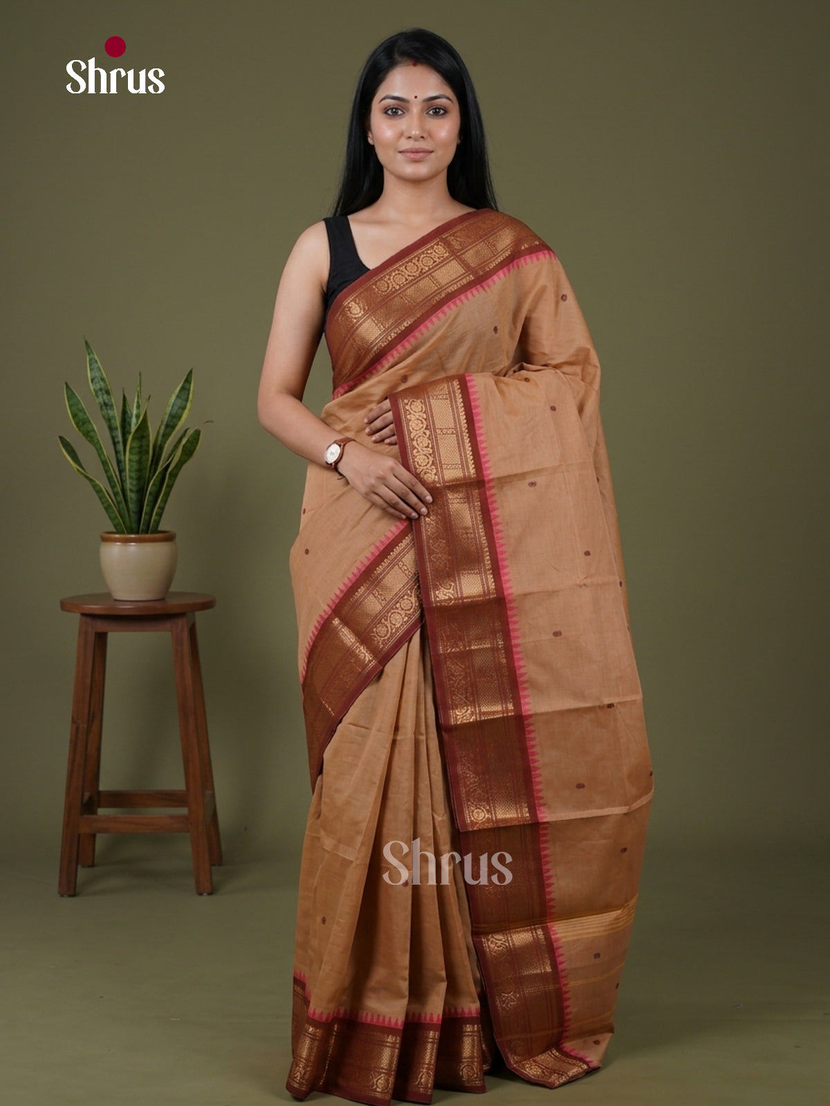 Chettinad Cotton Saree - EFS19021