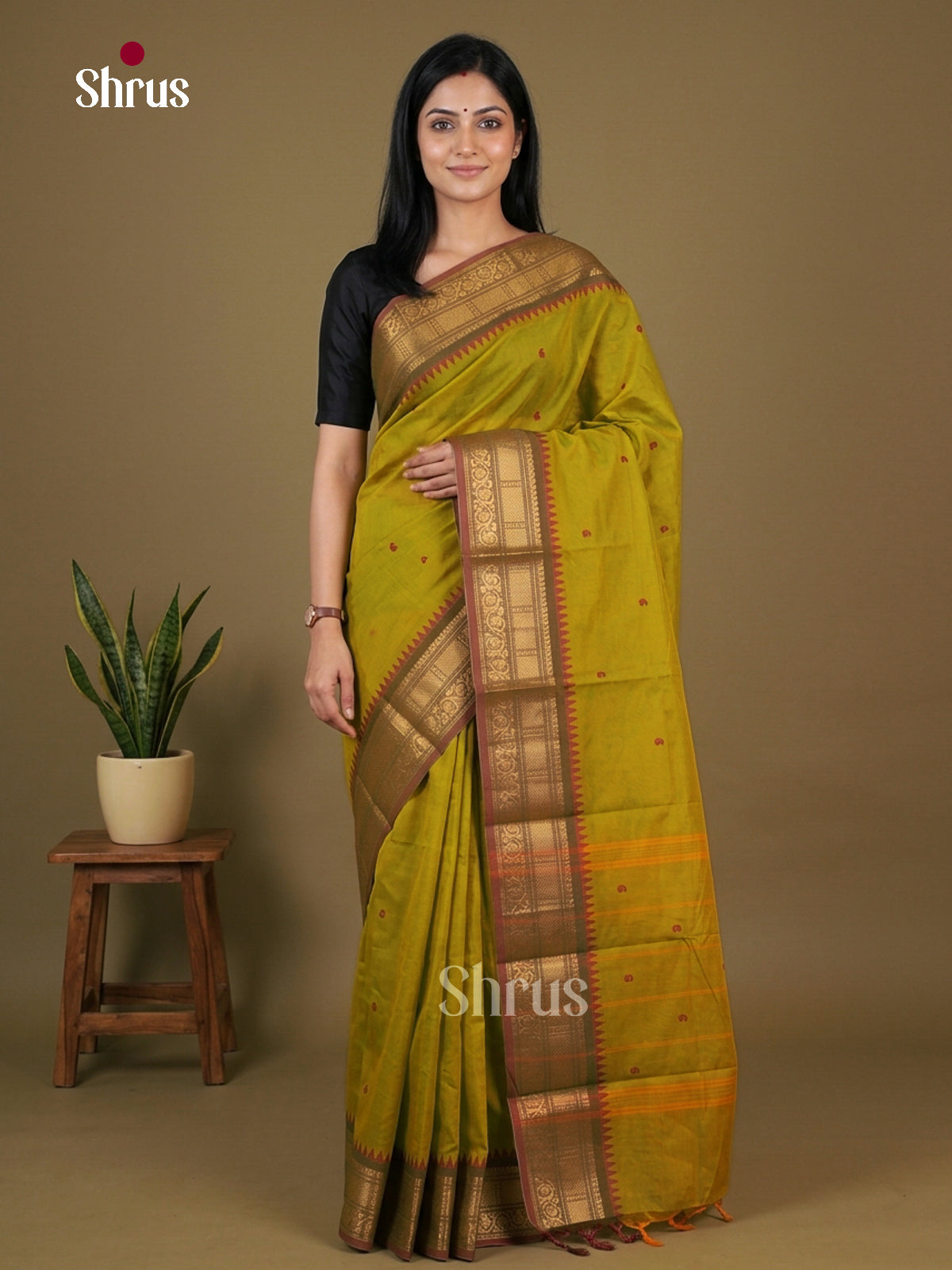 Chettinad Cotton Saree - EFS19027
