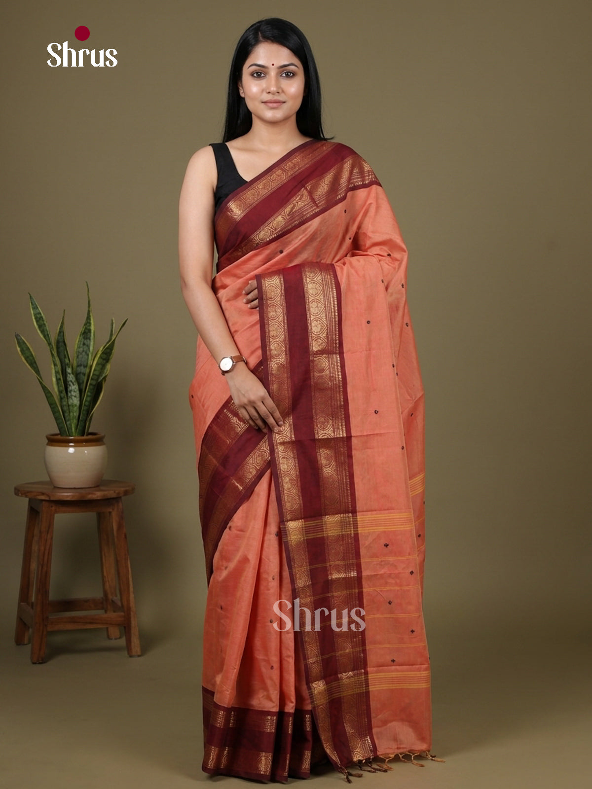 Chettinad Cotton Saree - EFS19029
