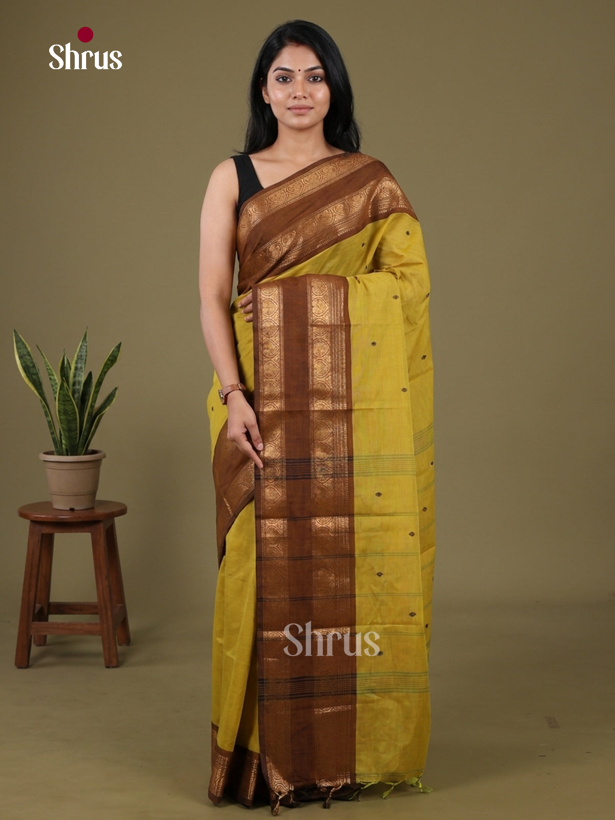 Chettinad Cotton Saree - EFS19033