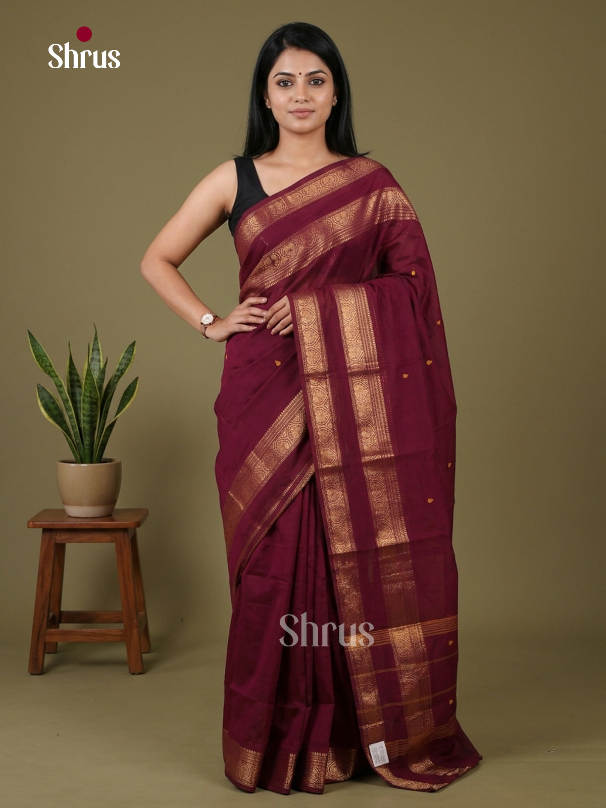 Chettinad Cotton Saree - EFS19035