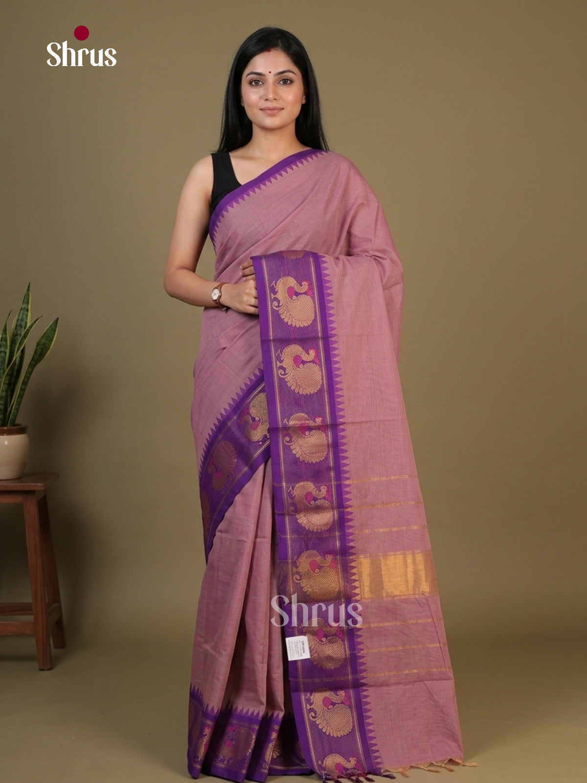 Chettinad Cotton Saree - EFS19102 - Shop on Shrus.com