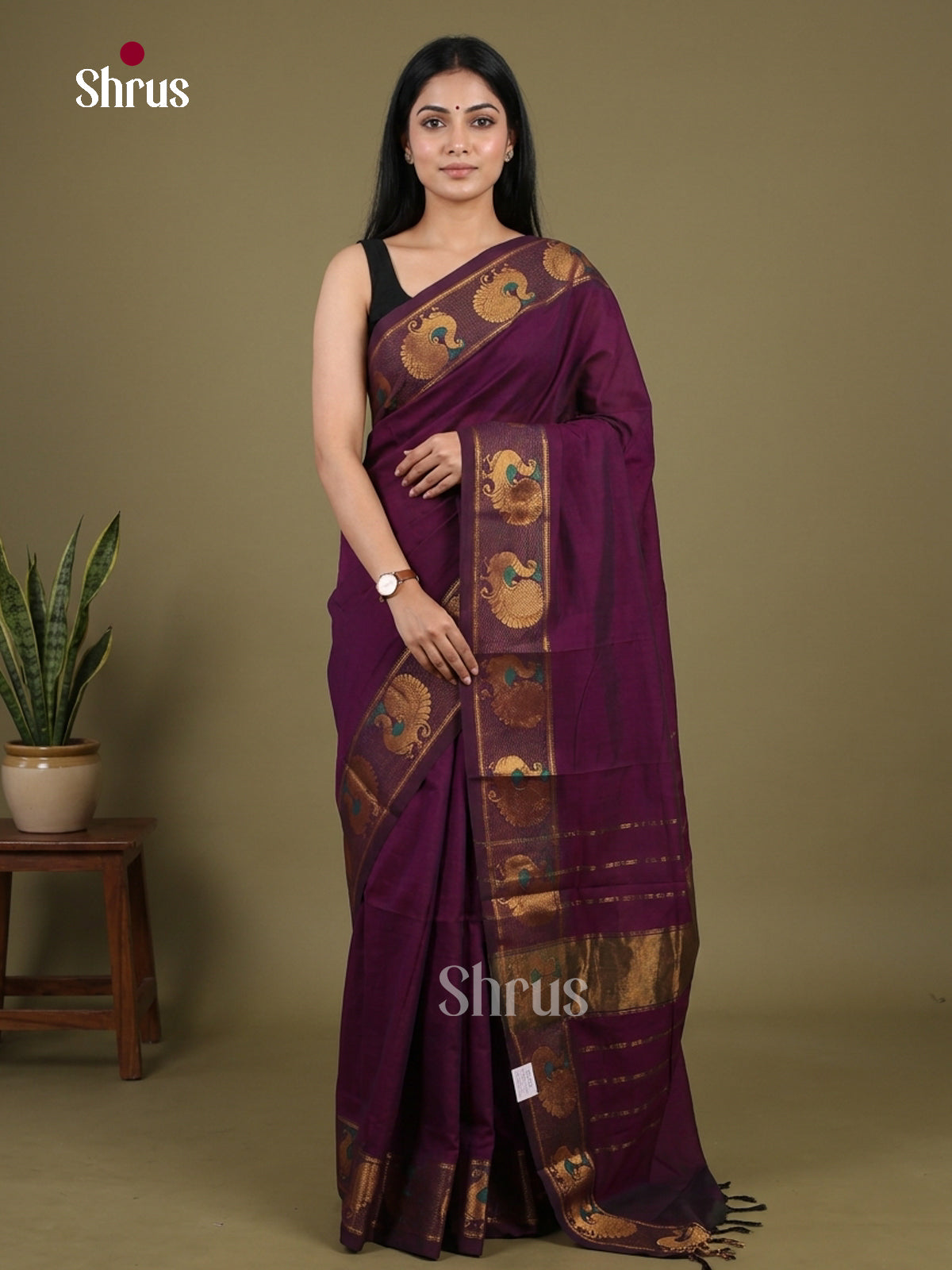 Chettinad Cotton Saree - EFS19103