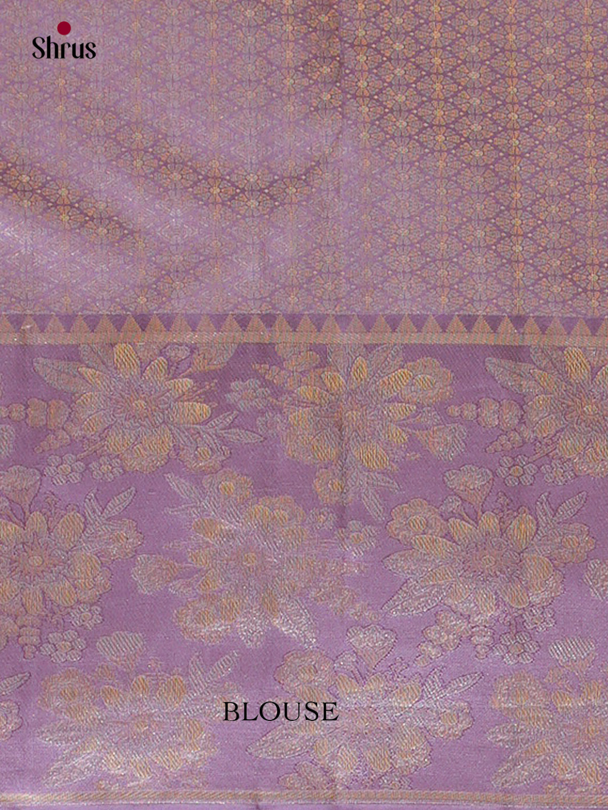Kanchipuram silk Saree - EFS20021
