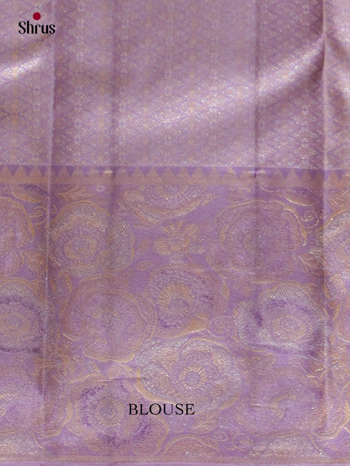 Kanchipuram silk Saree - EFS20023 - Shop on Shrus.com