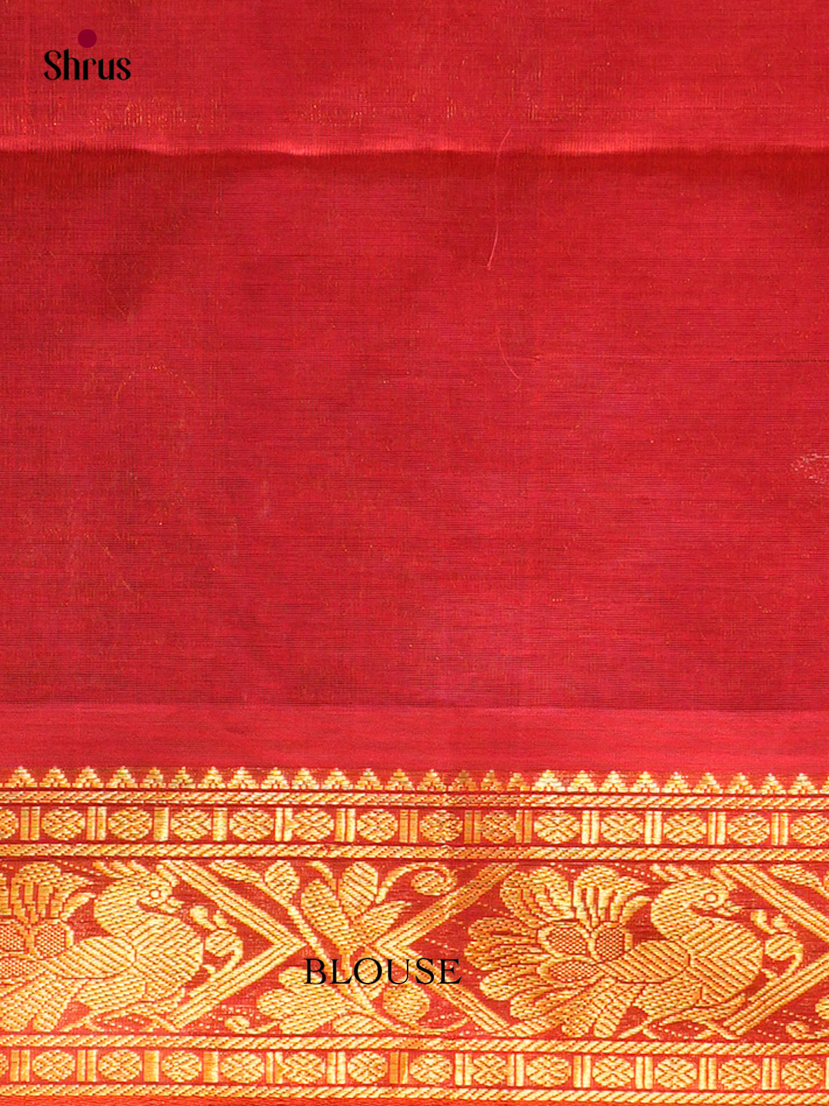Silk Cotton Saree - EFS20066