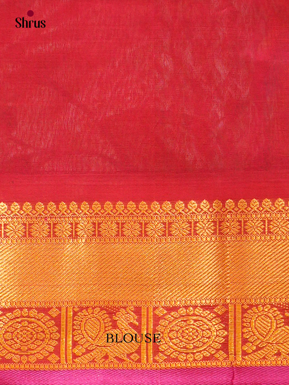 Silk Cotton Saree - EFS20069