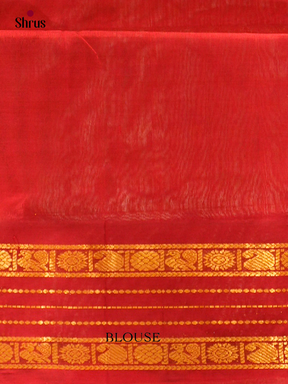 Silk Cotton Saree - EFS20094 - Shop on Shrus.com