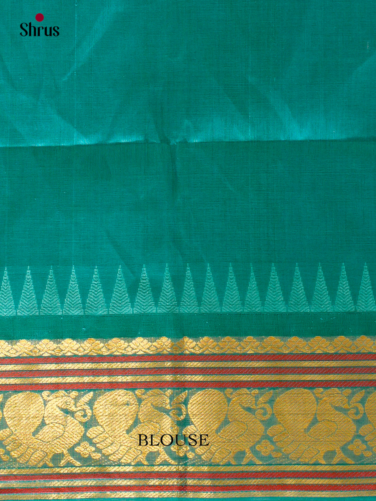 Silk Cotton Saree - EFS20097