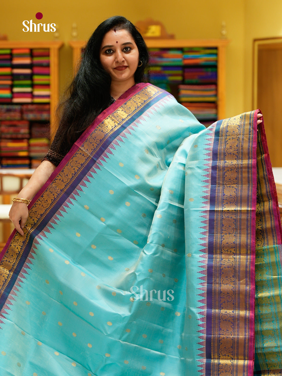 Gadwal silk Saree - EFS23311