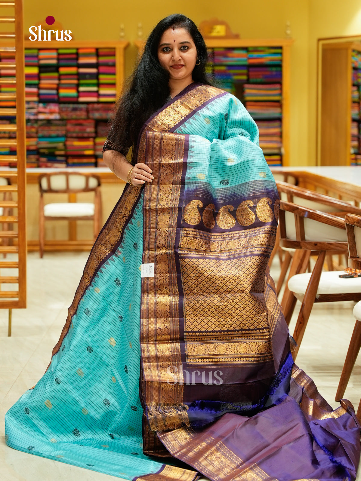 Gadwal silk Saree - EFS23318