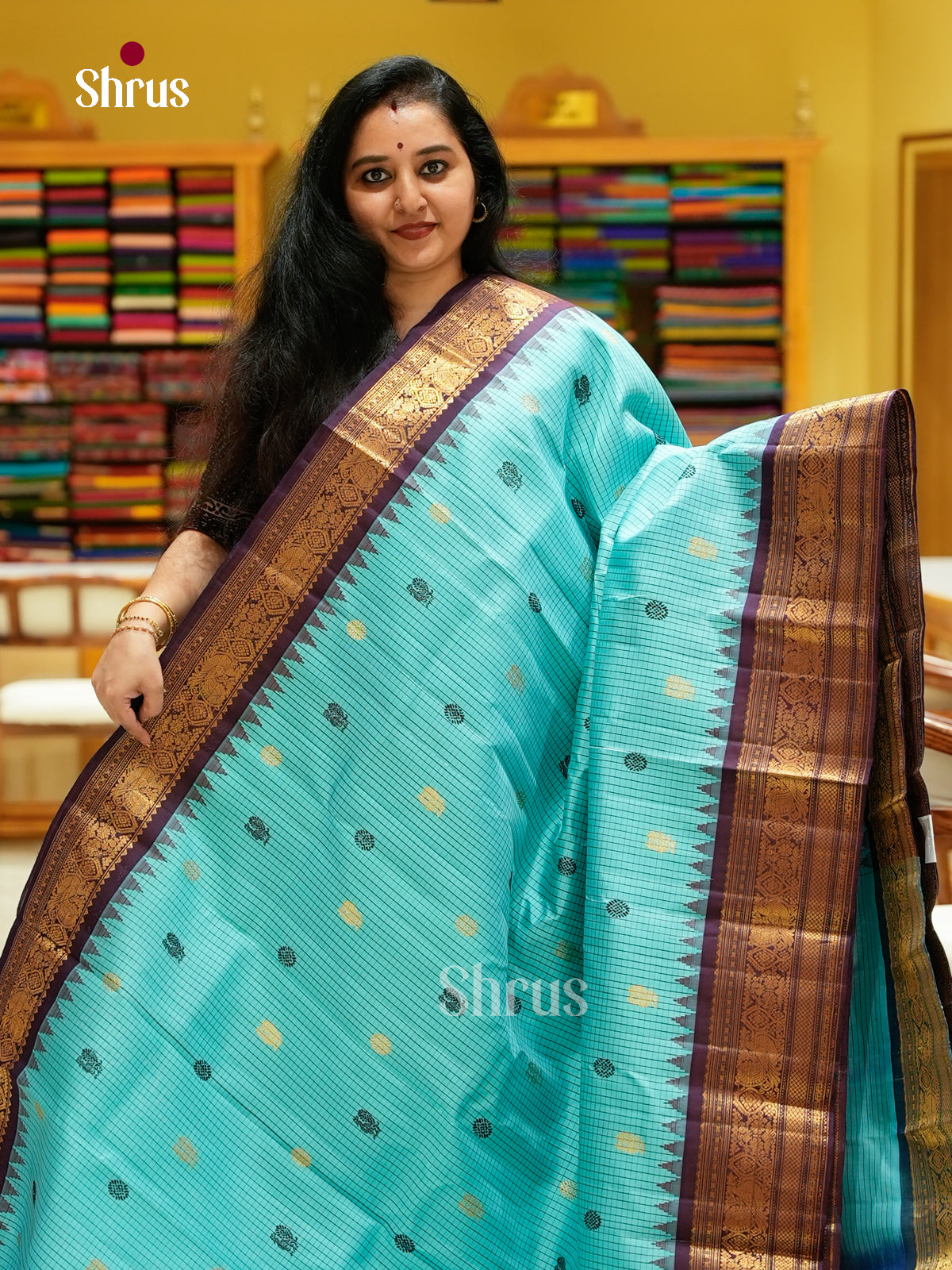 Gadwal silk Saree - EFS23318