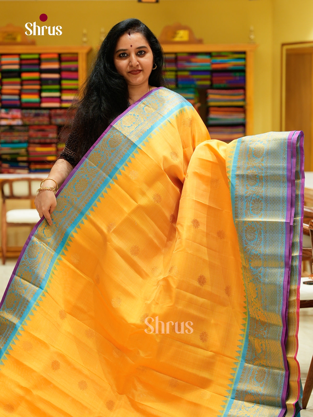 Gadwal silk Saree - EFS23331