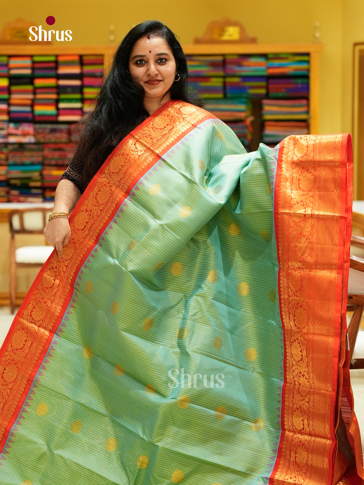 Gadwal silk Saree - EFS23334