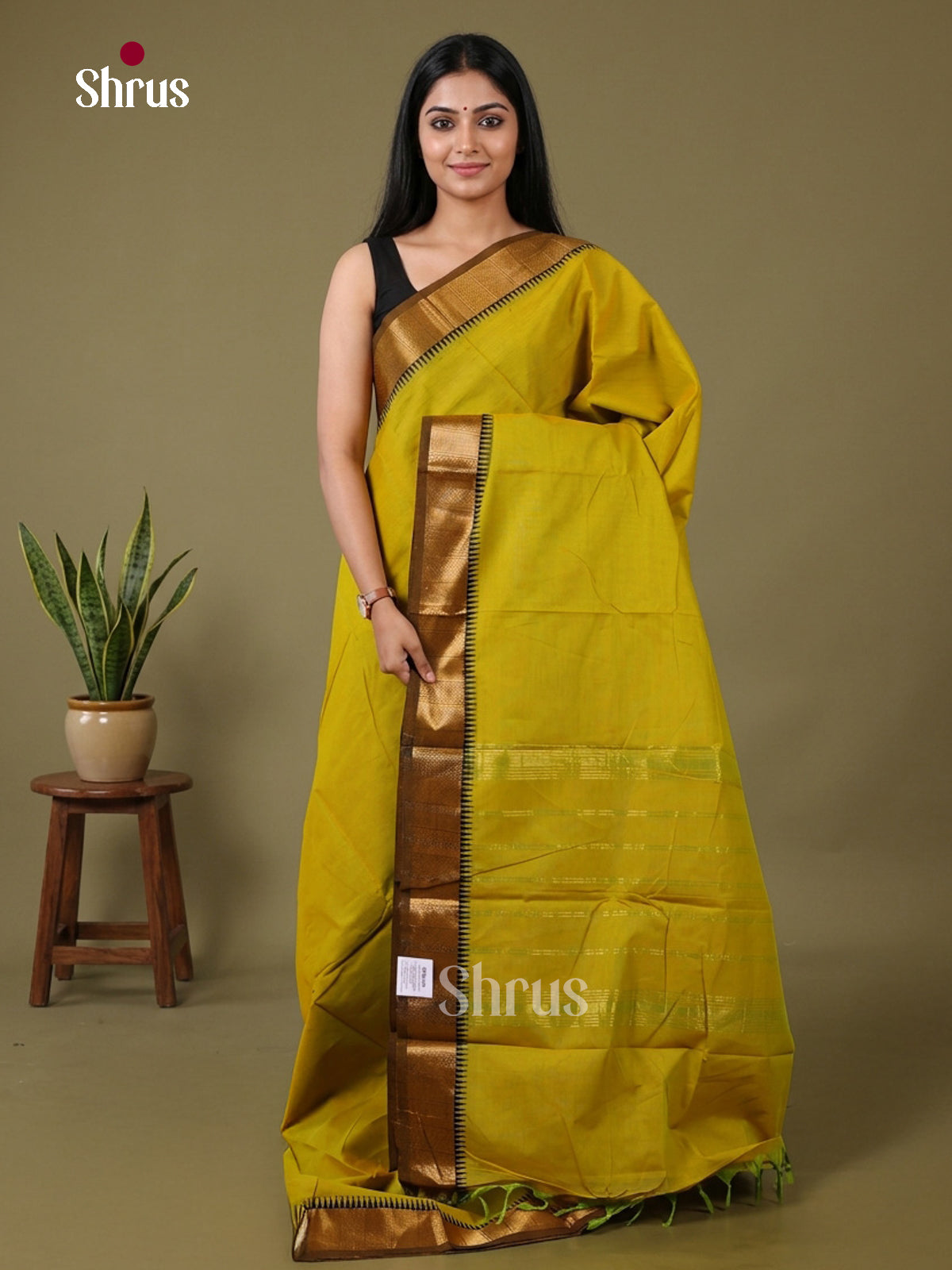 Chettinad Cotton Saree - EFS23339