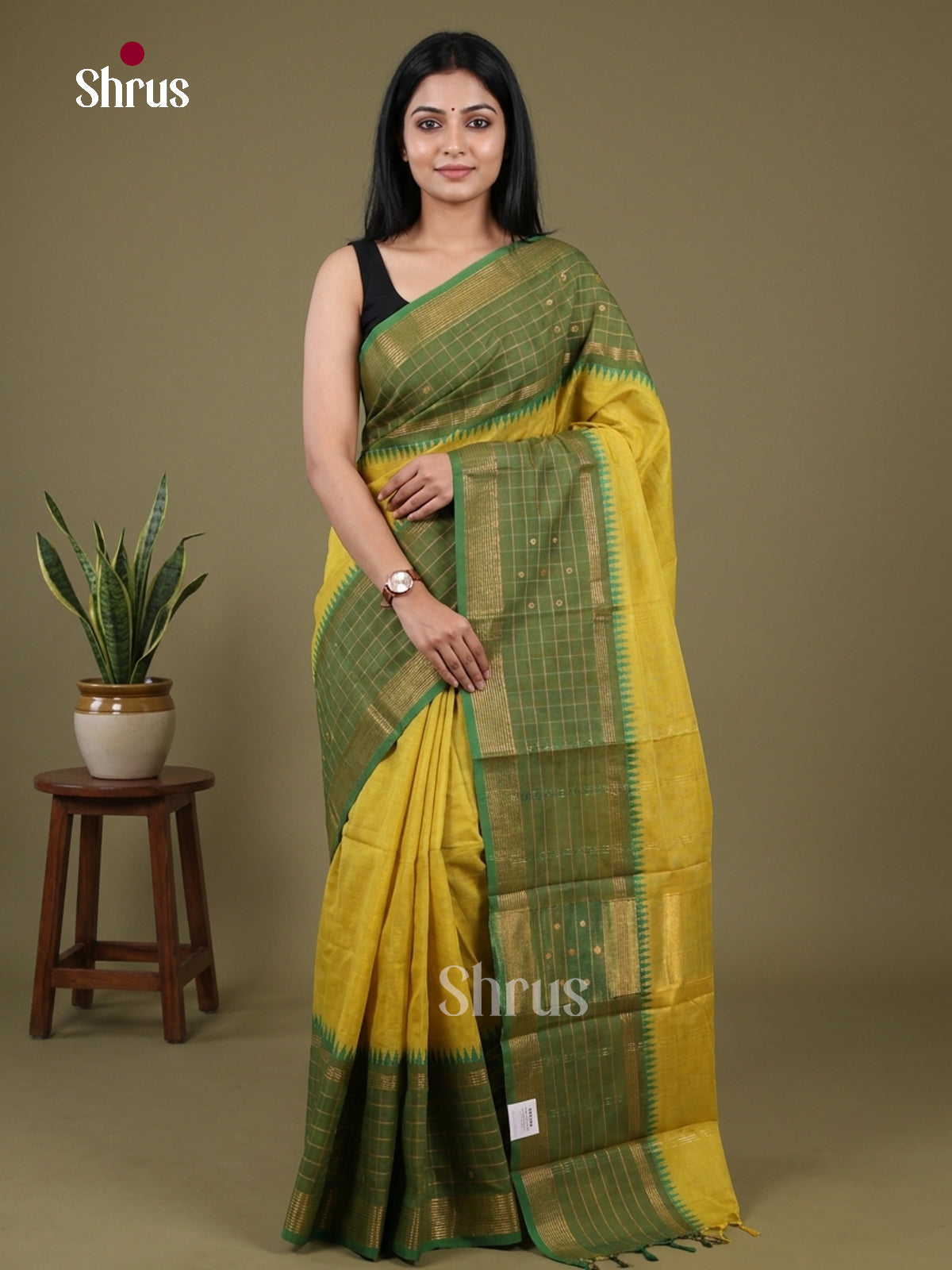 Chettinad Cotton Saree - EFS24004