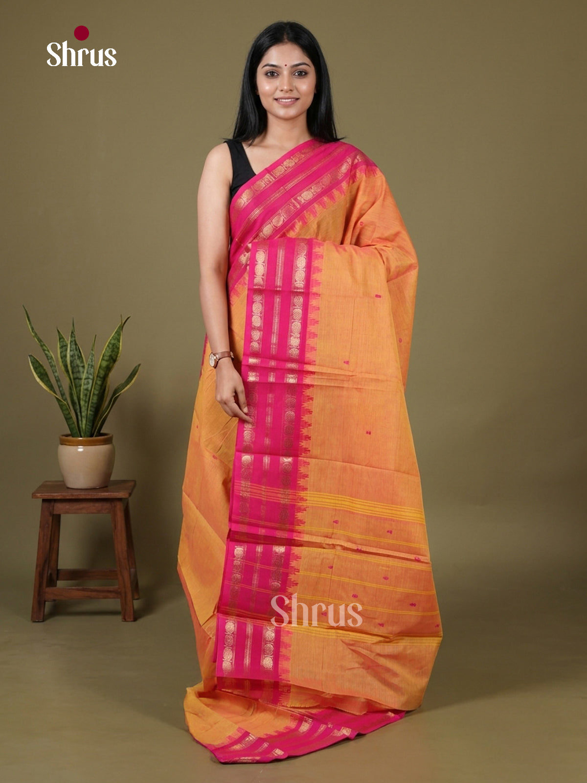 Chettinad Cotton Saree - EFS24019