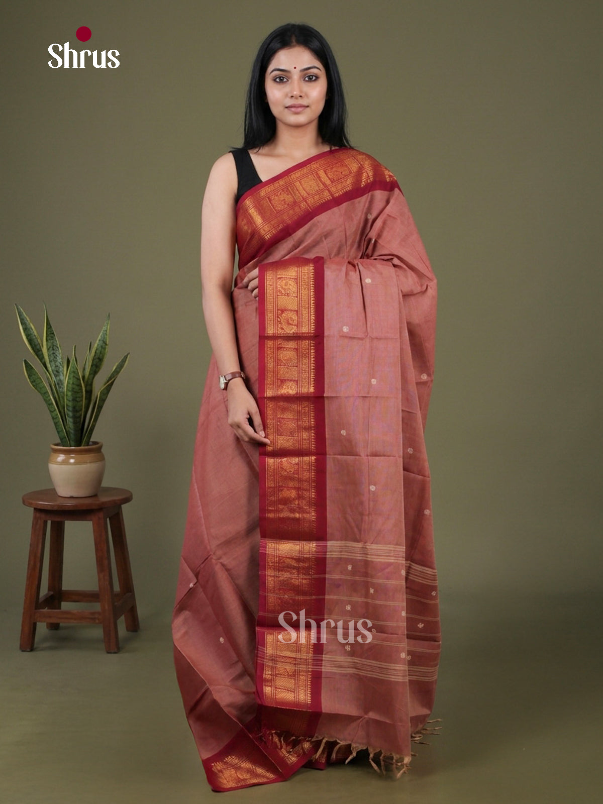 Chettinad Cotton Saree - EFS26009
