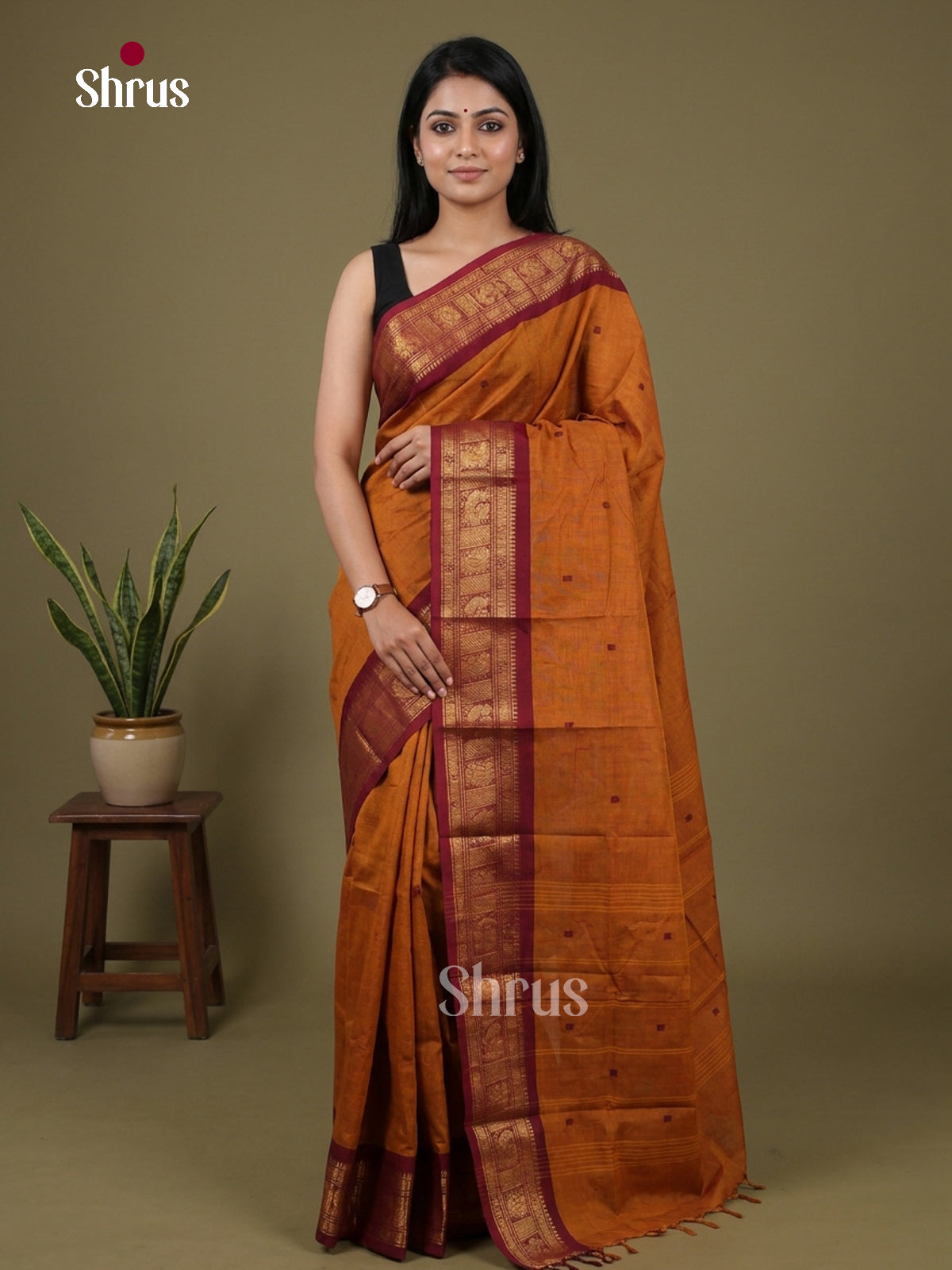 Chettinad Cotton Saree - EFS26012