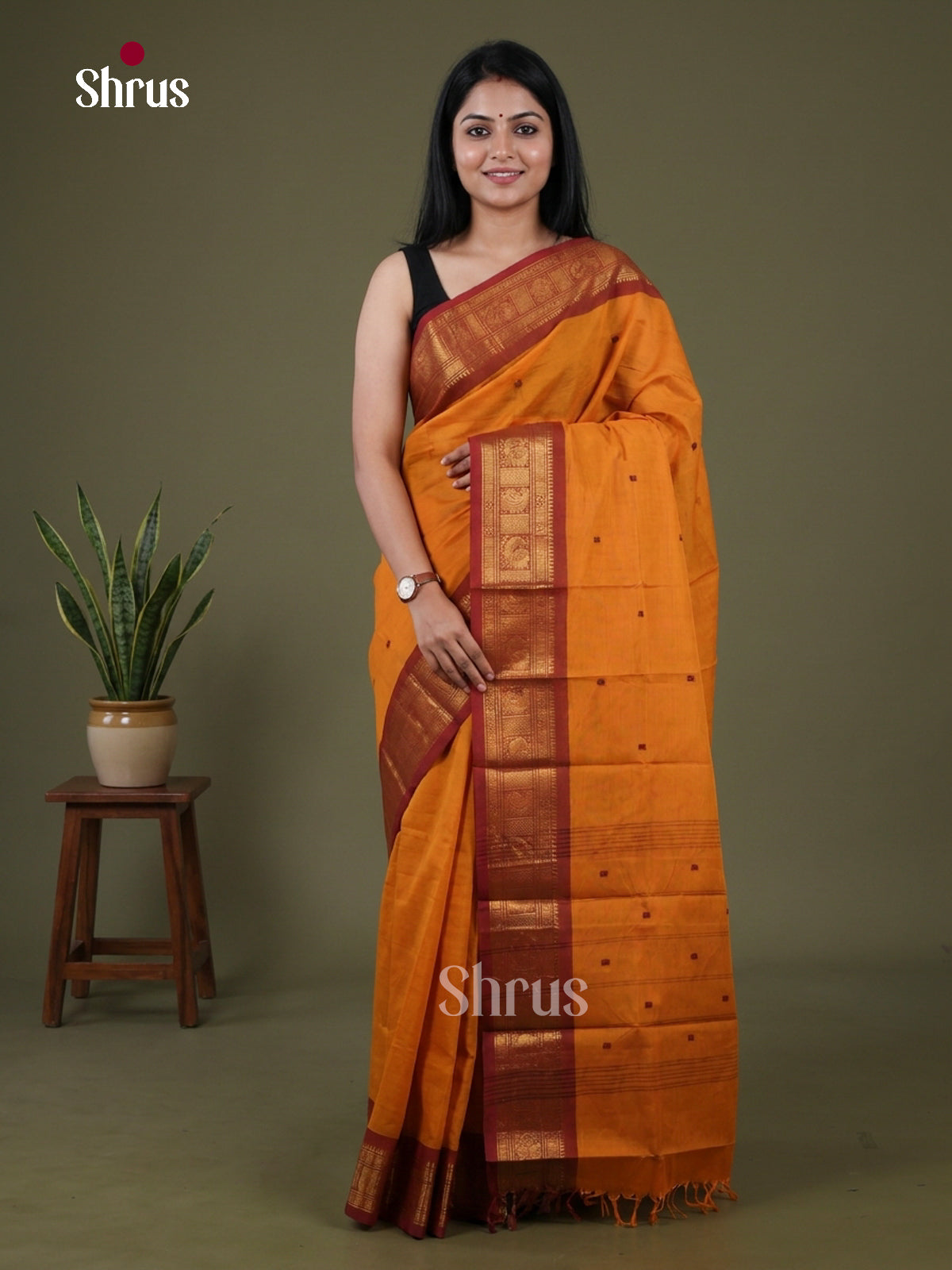 Chettinad Cotton Saree - EFS26014