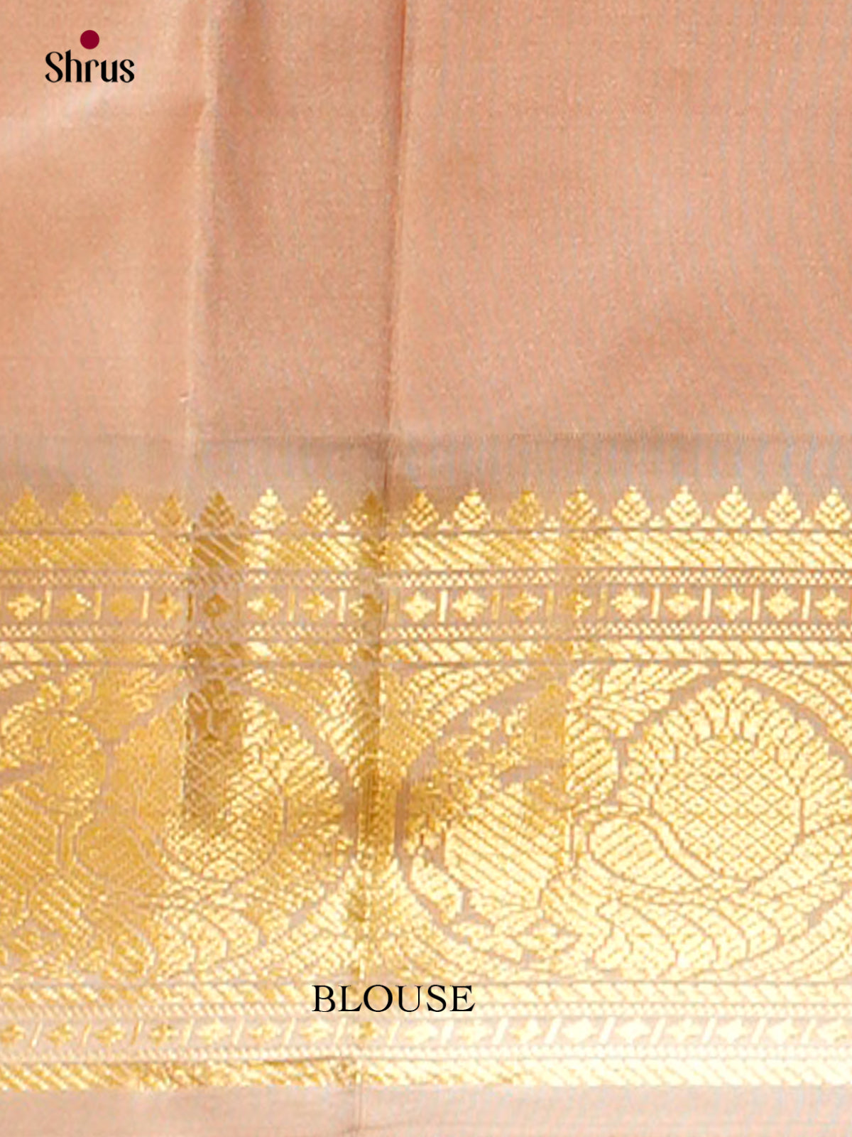 Kanchipuram silk Saree - EFS27184