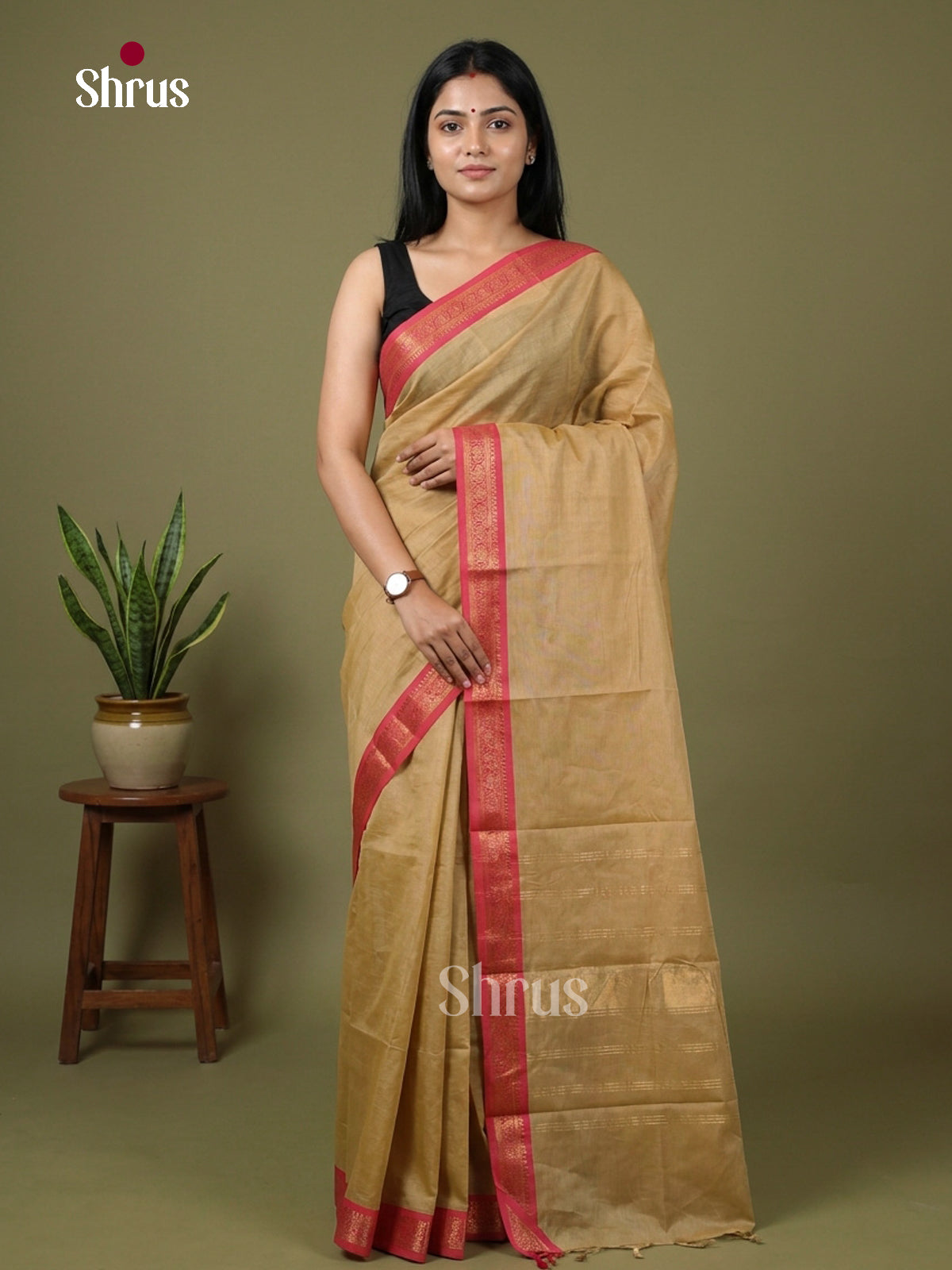 Chettinad Cotton Saree - EFS29014