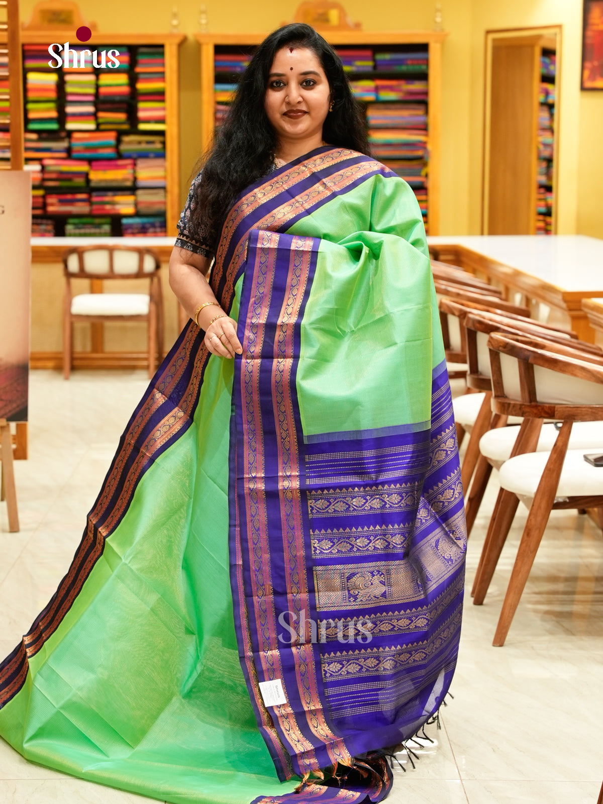 Sea Green Silk Cotton Saree with Lines and Vaira Oosi | Blue Non Korvai Medium Border