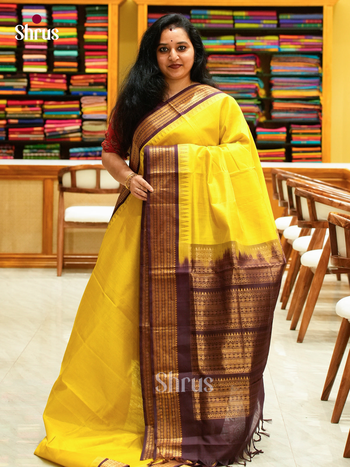 YELLOW Silk Cotton Saree | Brown Contrast Border - Shop on Shrus.com
