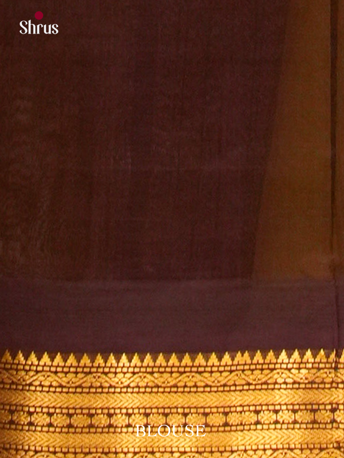 YELLOW Silk Cotton Saree | Brown Contrast Border - Shop on Shrus.com