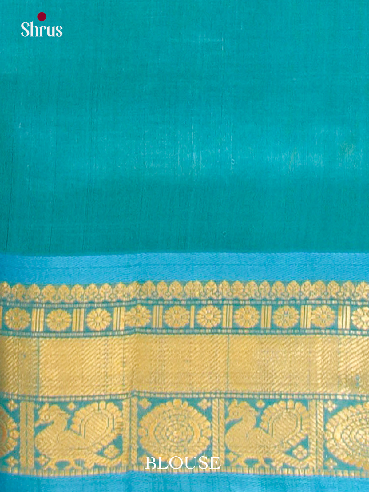 Maroon Silk Cotton Saree with Peacock Buttas | Sky Blue Contrast Border - Shop on Shrus.com