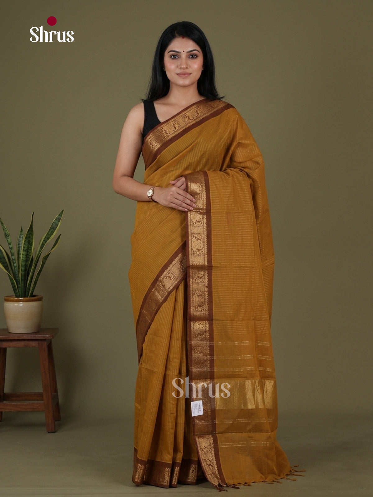Chettinad Cotton Saree - EFS30159