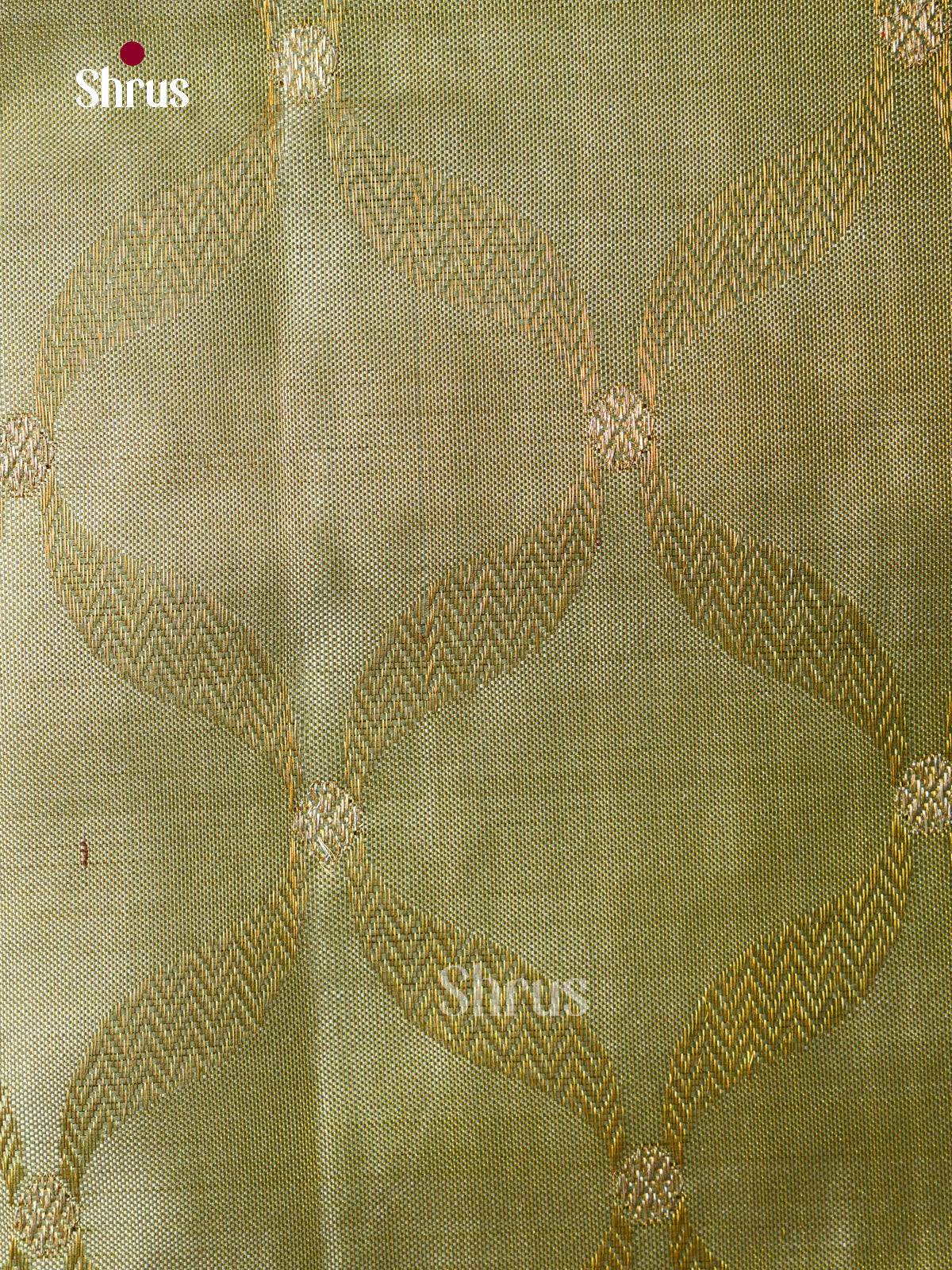 Kanchipuram silk Saree - EFS30339