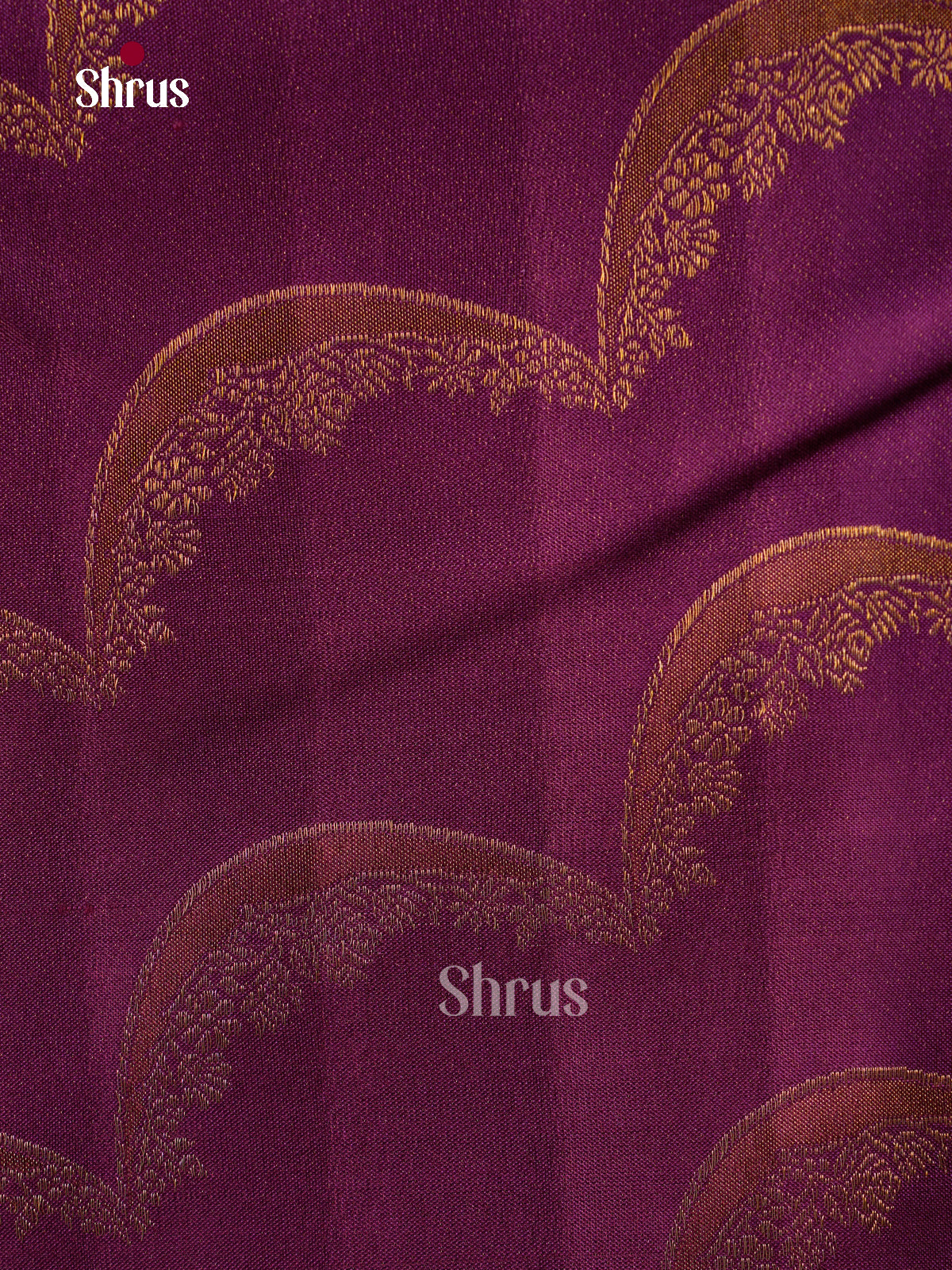 Kanchipuram silk Saree - EFS30349