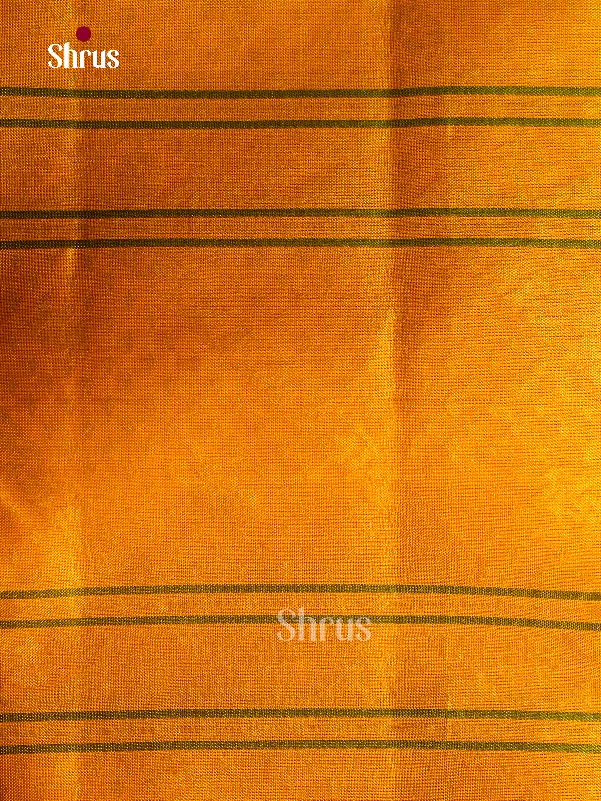 Kanchipuram silk Saree - EFS30351
