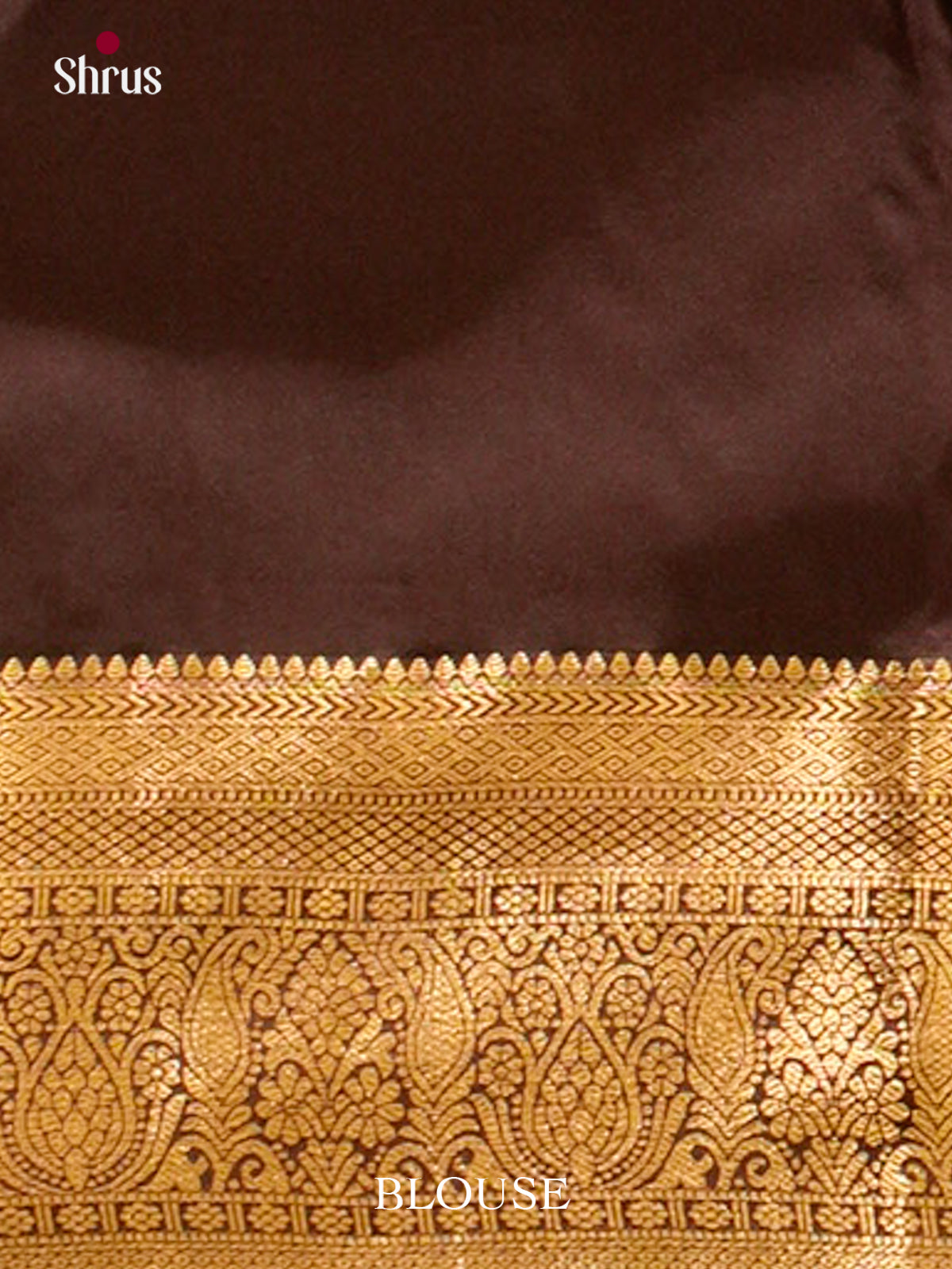 Peacock Green Halfpure Kanchipuram Silk Saree with Floral Buttas | Dark Brown Contrast Border — Contrast Border with Motifs