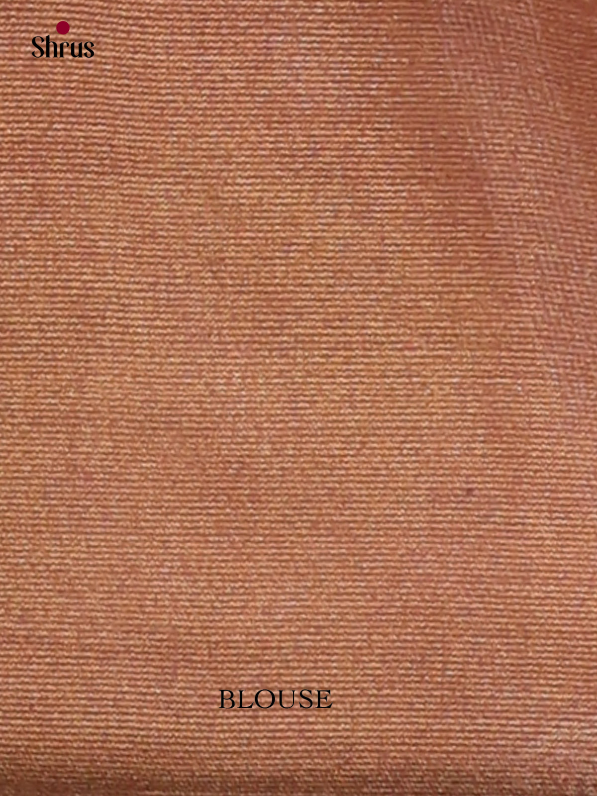 Semi Tissue Saree - EGS01111 - Shop on Shrus.com