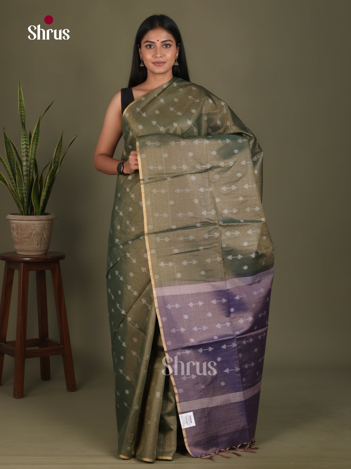 Semi Tissue Saree - EGS01119 - Shop on Shrus.com