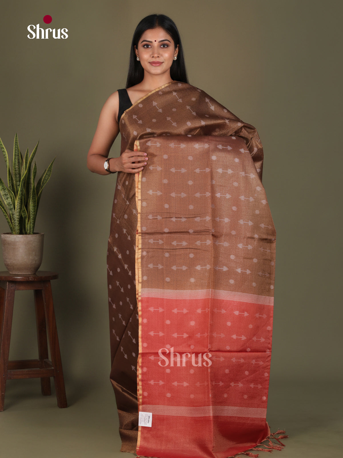 Semi Tissue Saree - EGS01121 - Shop on Shrus.com