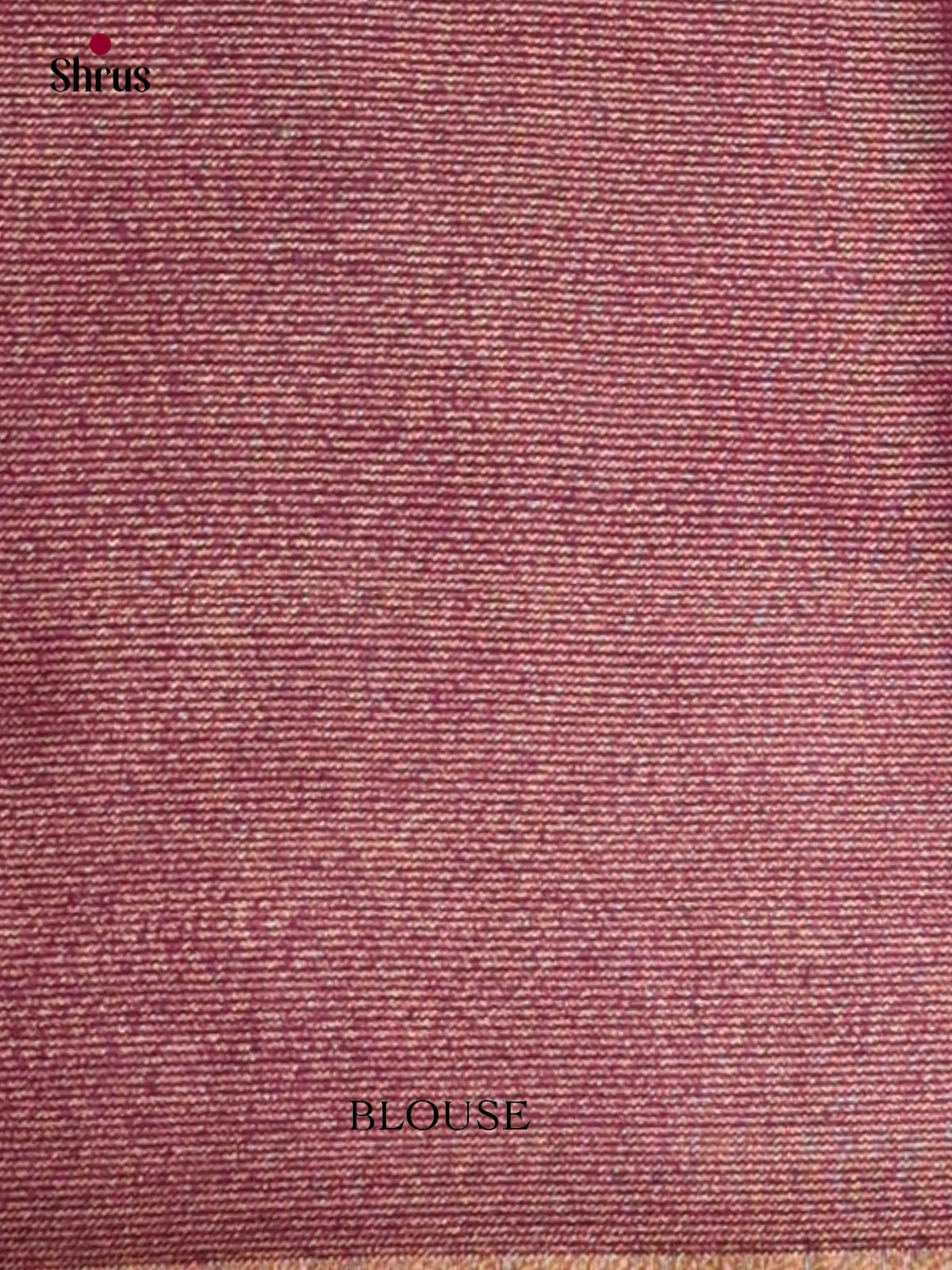 Semi Tissue Saree - EGS01131