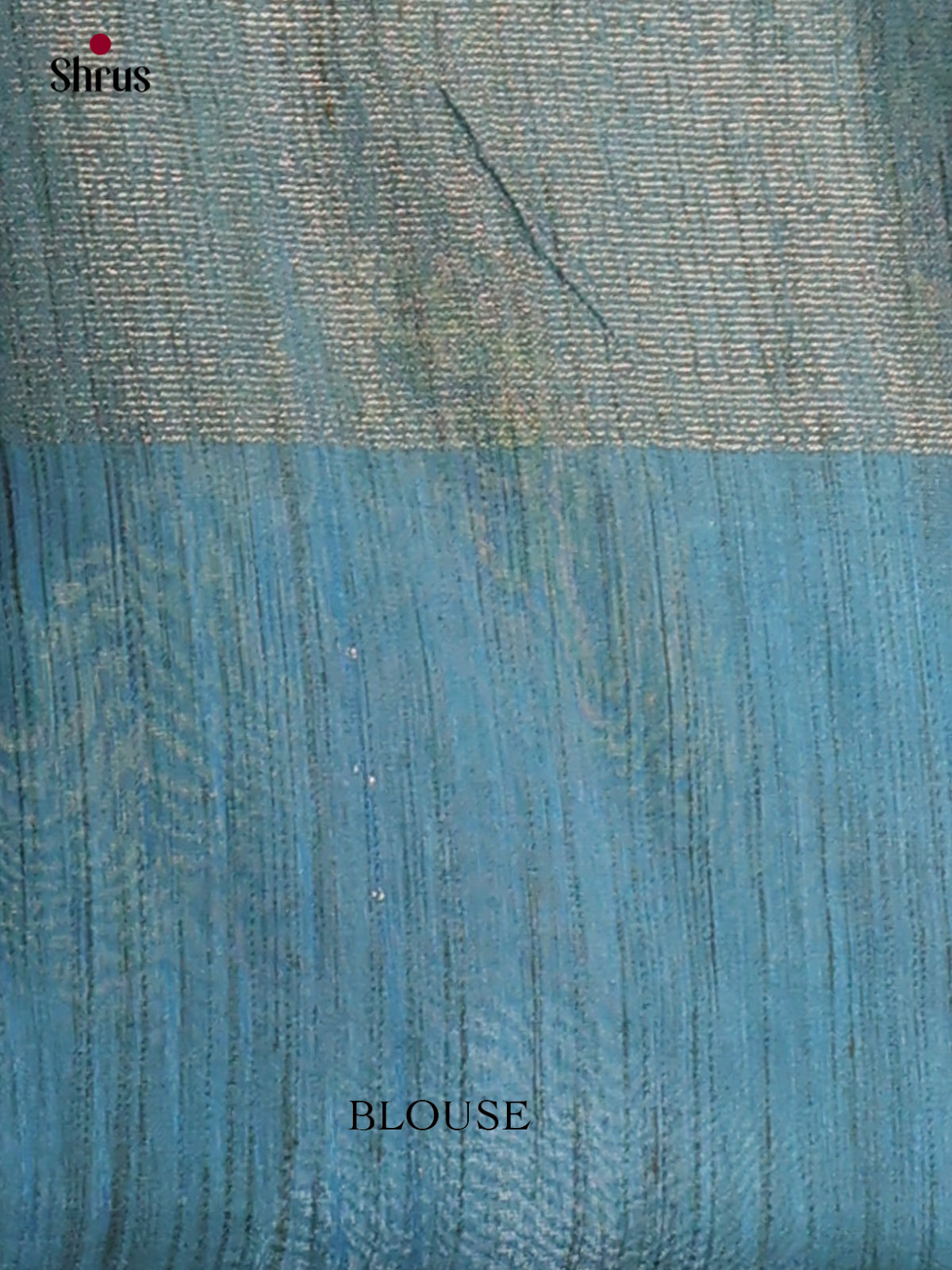 Tissue Embroidery Saree - EGS01156