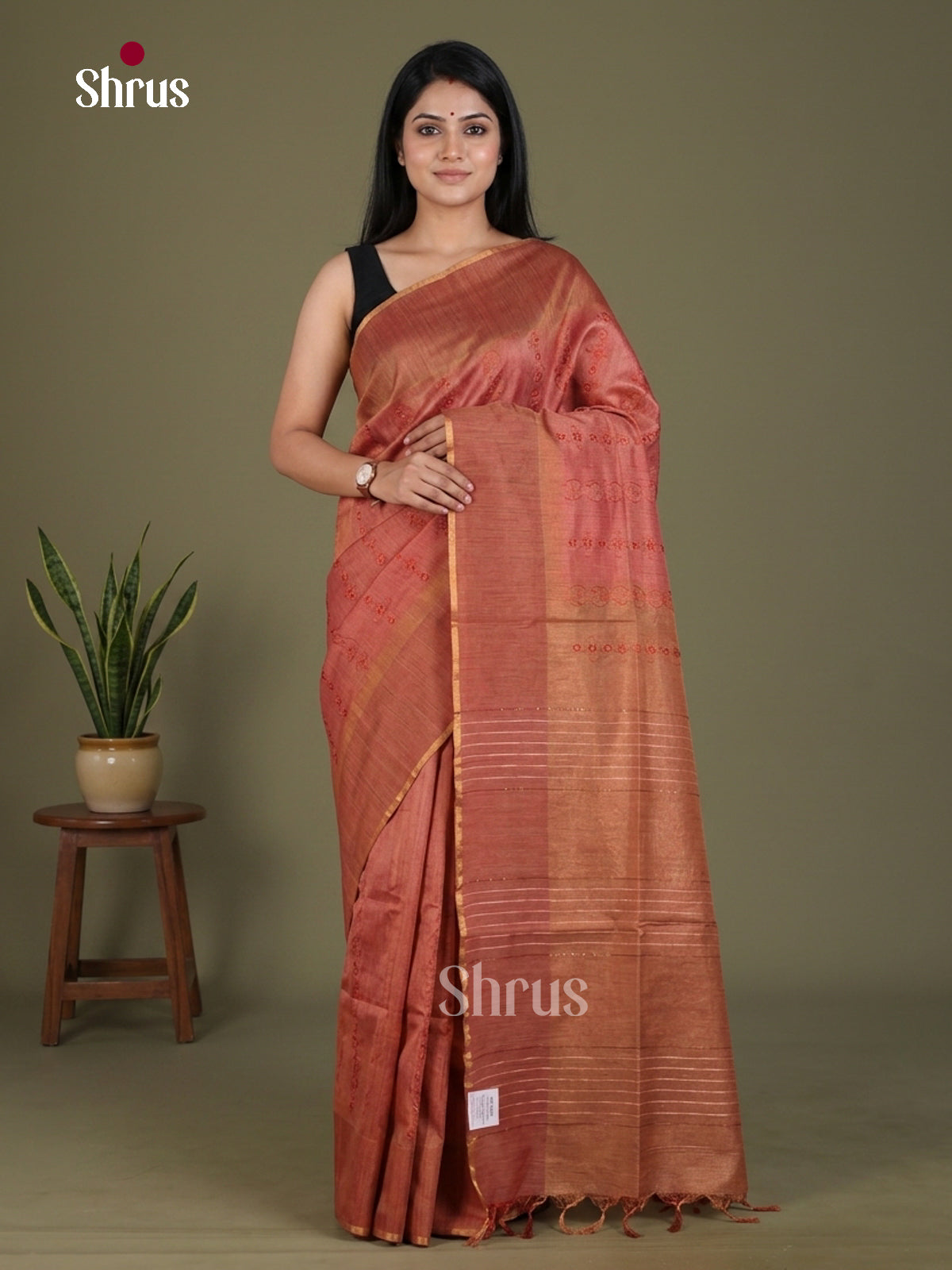 Tissue Embroidery Saree - EGS01159 - Shop on Shrus.com
