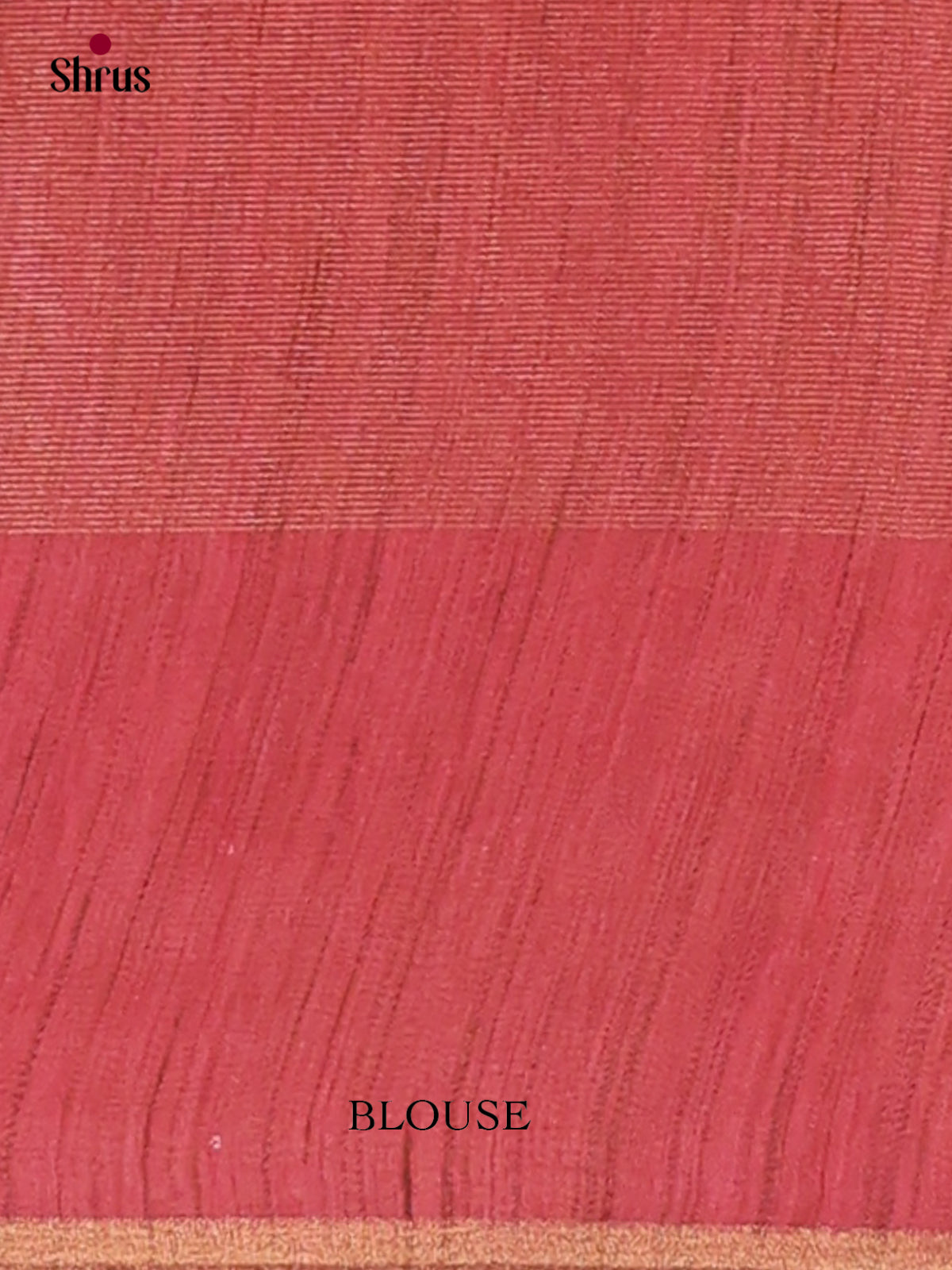 Tissue Embroidery Saree - EGS01163 - Shop on Shrus.com