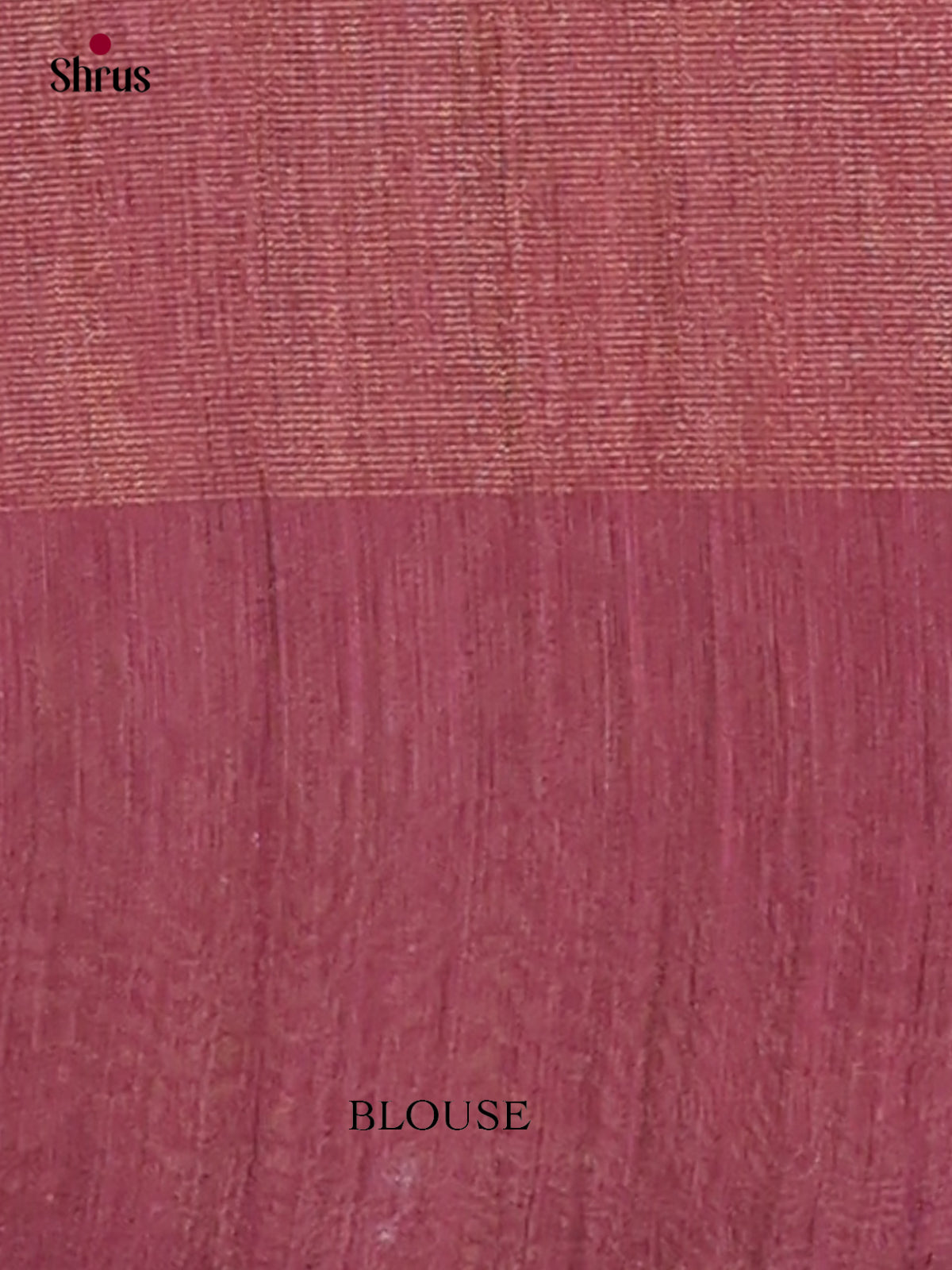 Tissue Embroidery Saree - EGS01164 - Shop on Shrus.com