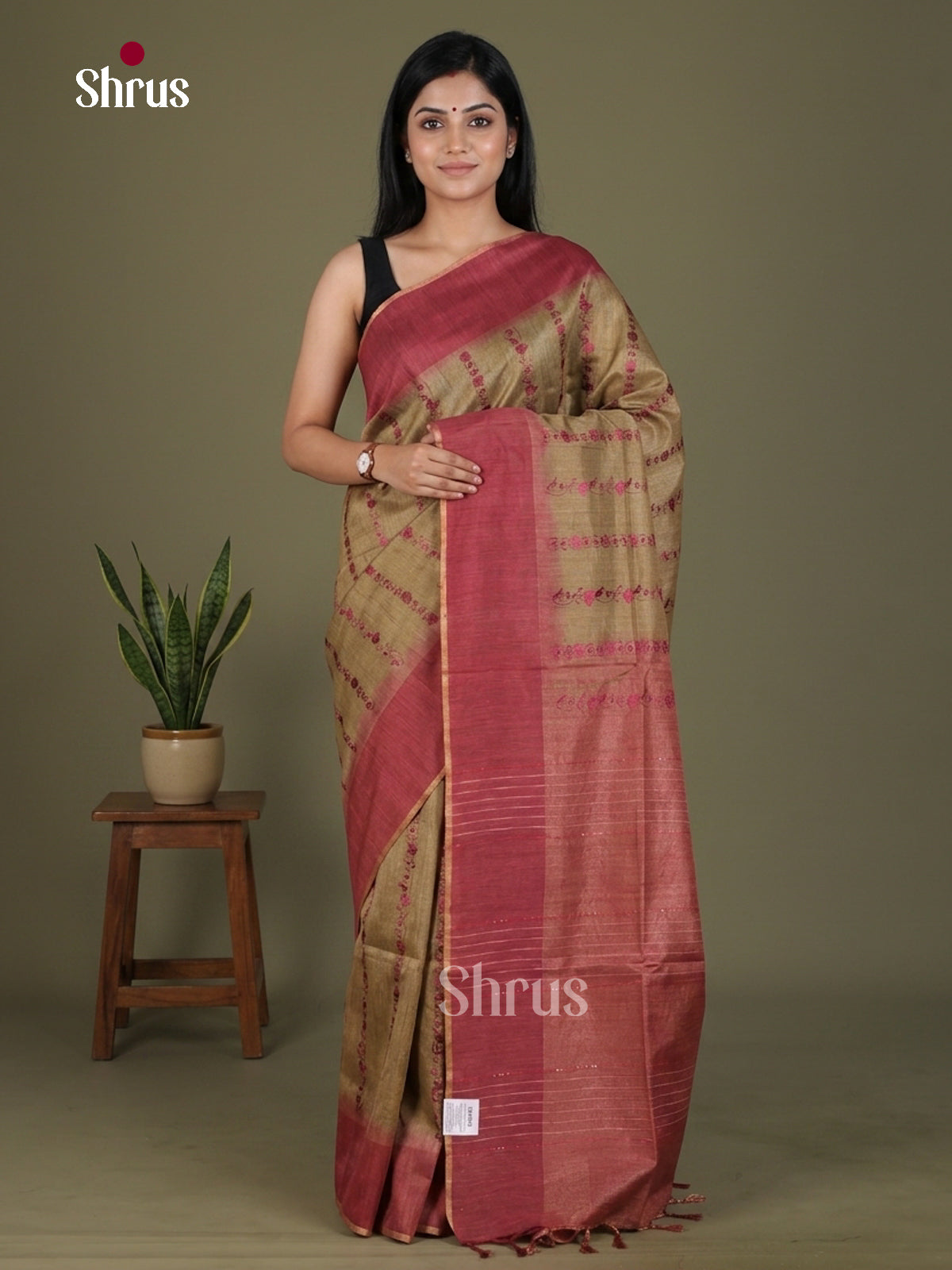 Tissue Embroidery Saree - EGS01167 - Shop on Shrus.com