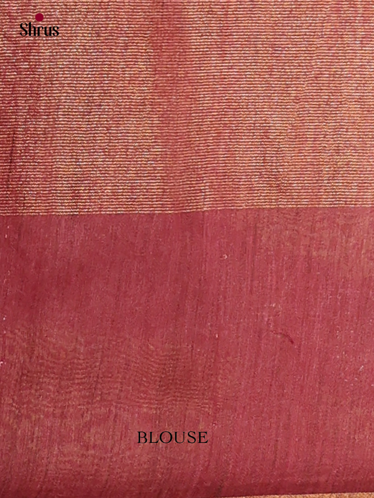 Tissue Embroidery Saree - EGS01173