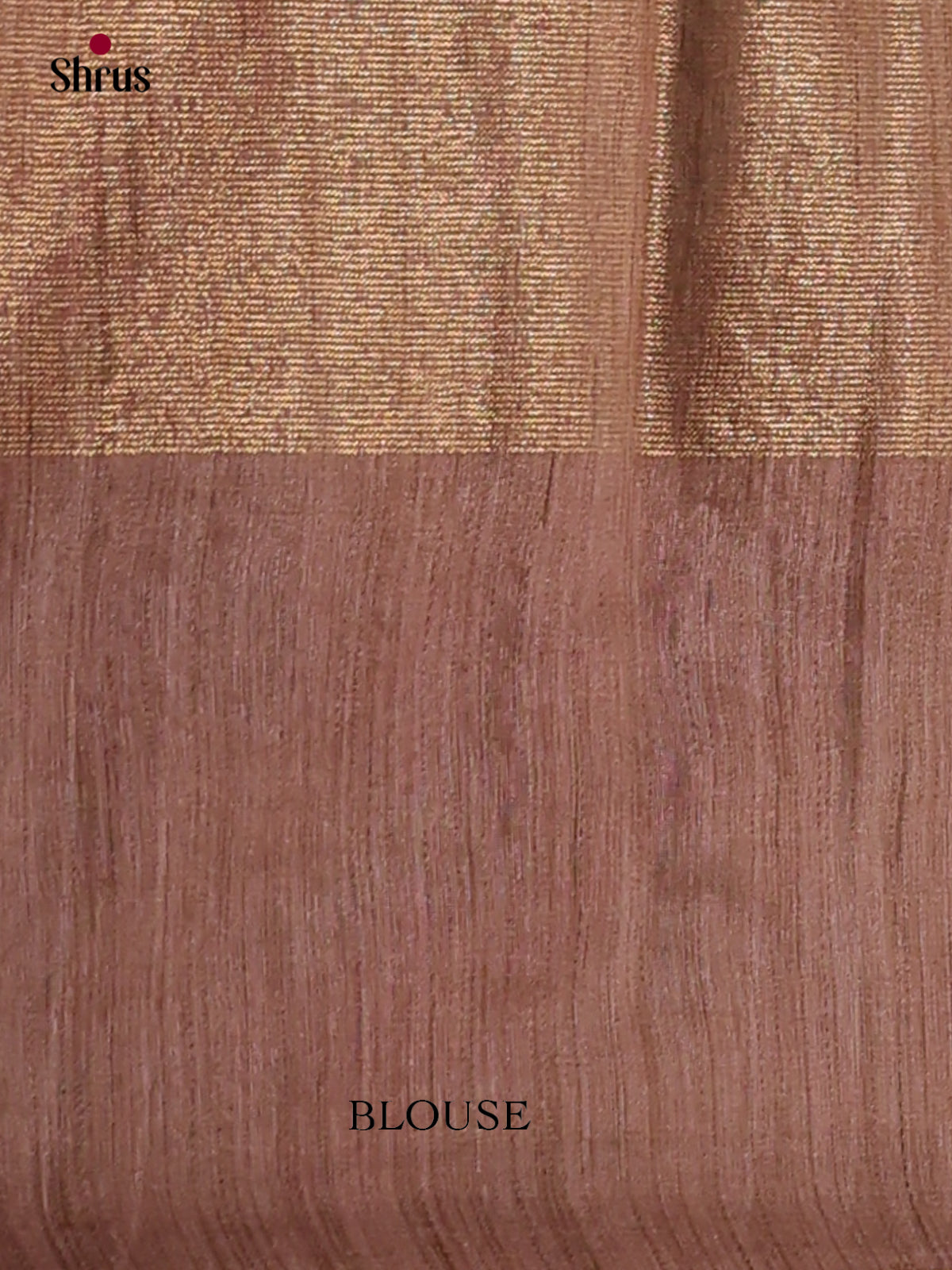 Tissue Embroidery Saree - EGS01183 - Shop on Shrus.com
