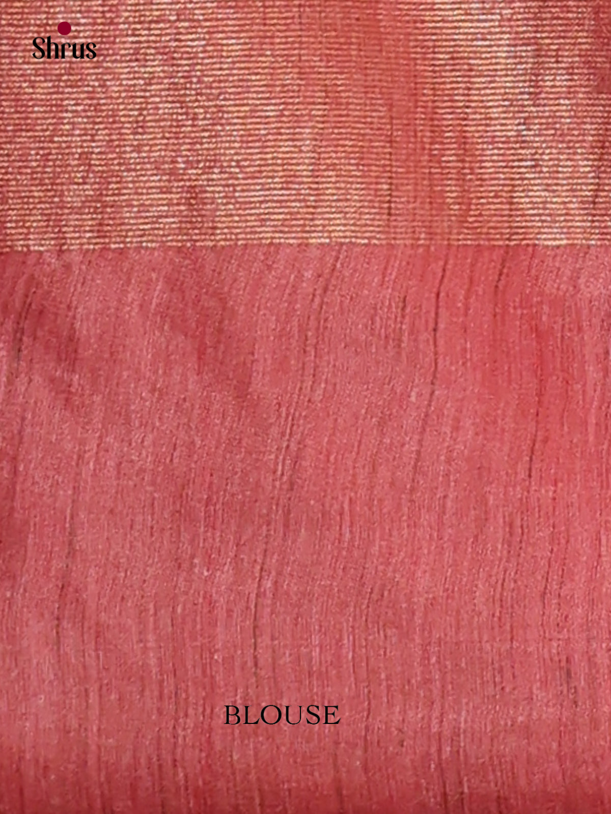 Tissue Embroidery Saree - EGS01184