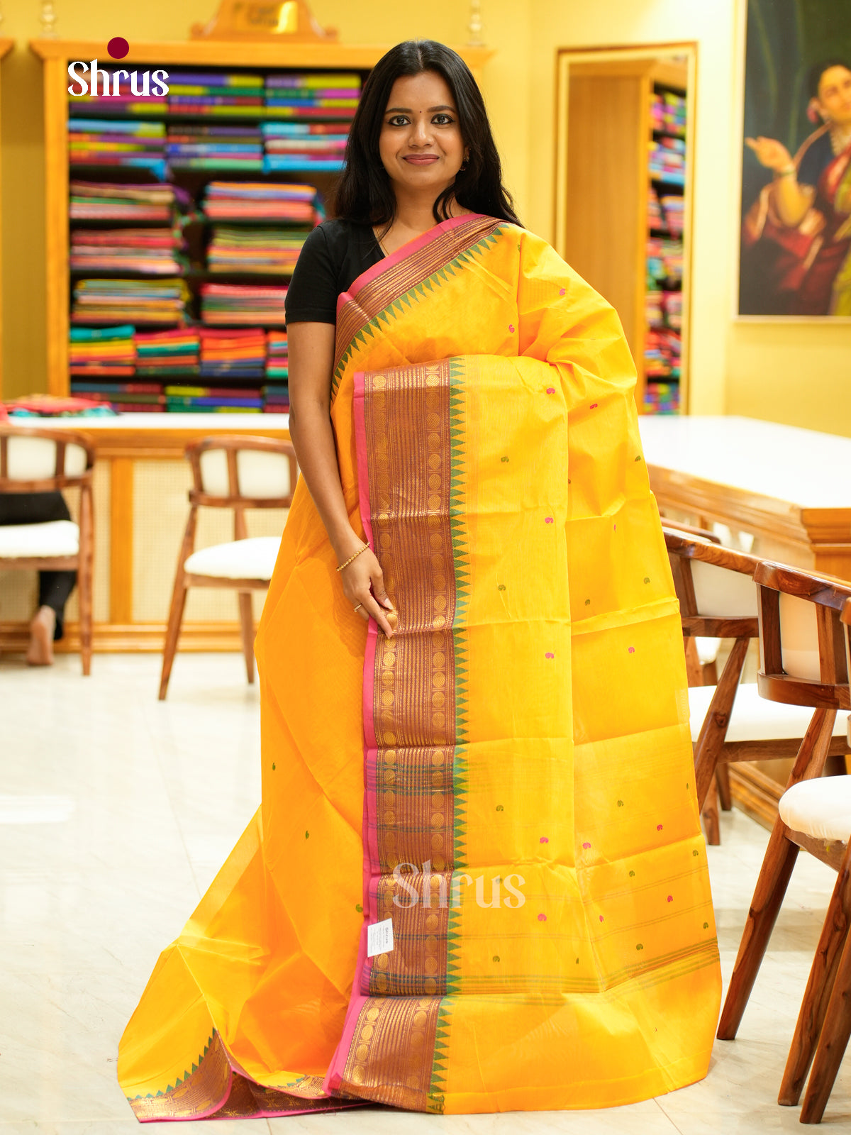 Chettinad Cotton Saree - EGS03005