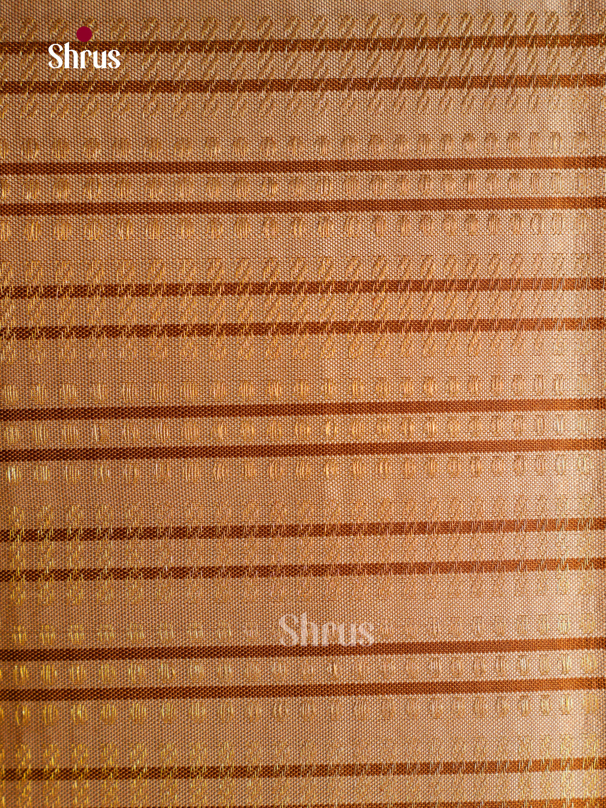 Kanchipuram silk Saree - EGS03048